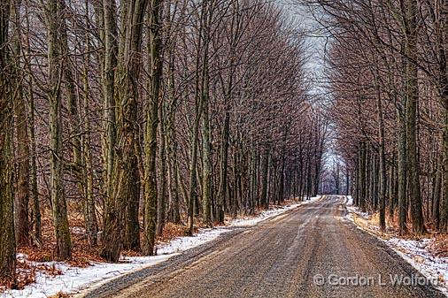 Cove Road In Winter_04223.jpg - Photographed near Portland, Ontario, Canada.
